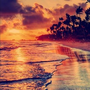 Meet your Posher, Gustavo